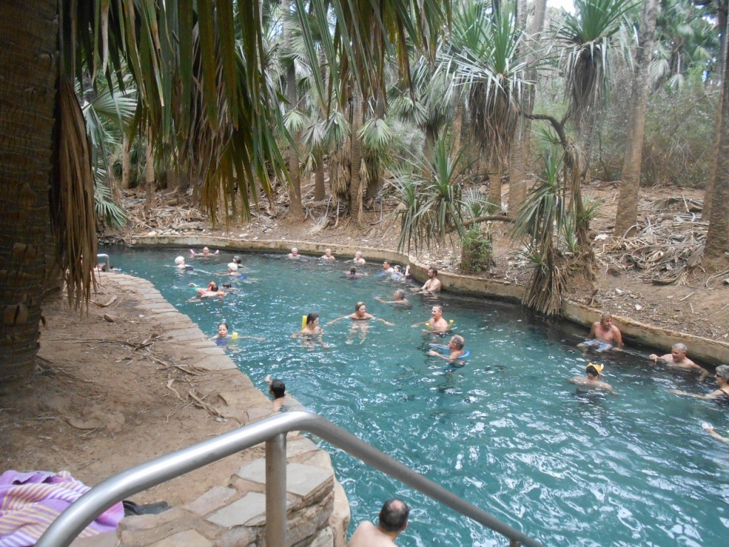 Mataranka Thermal pool