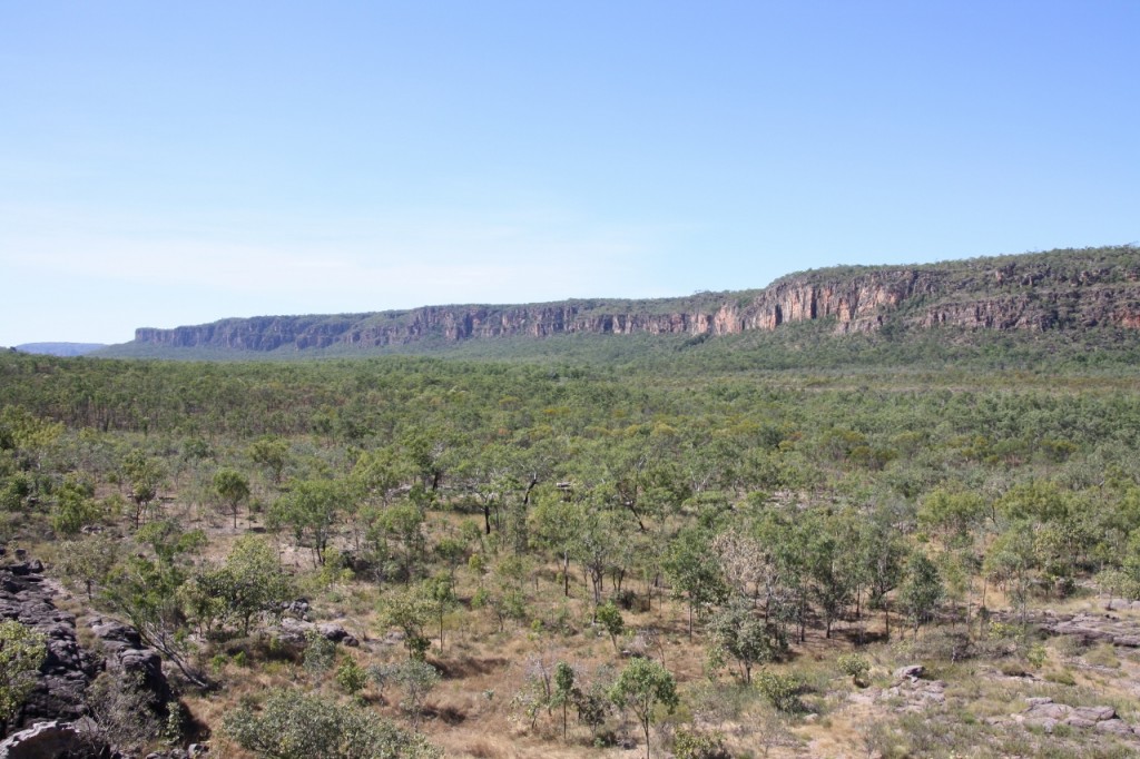 view from Budjmii Lookout