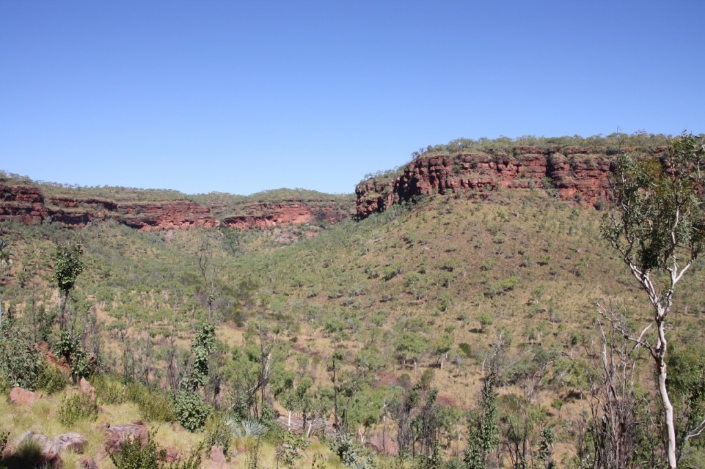 Joe Creek walk near Vic Downs