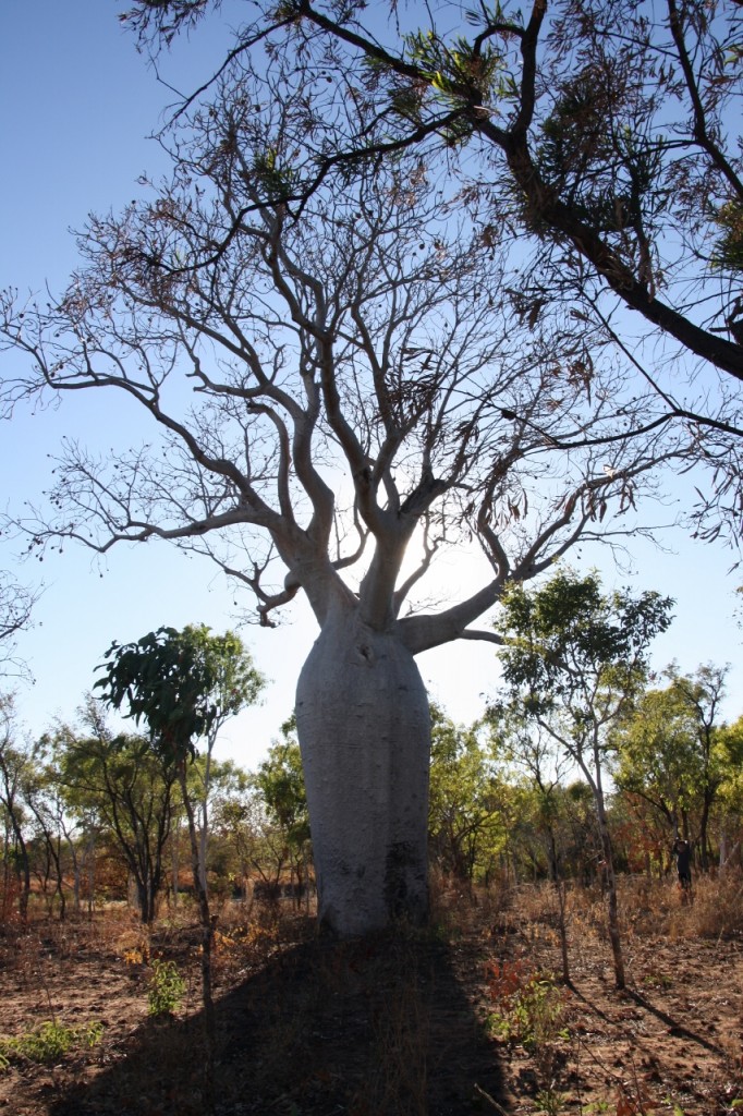 near East Baines River