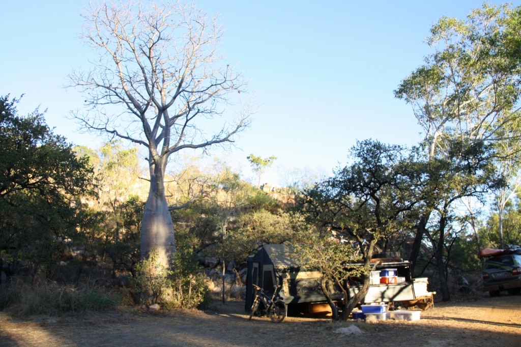 Bell Gorge next to a Boab