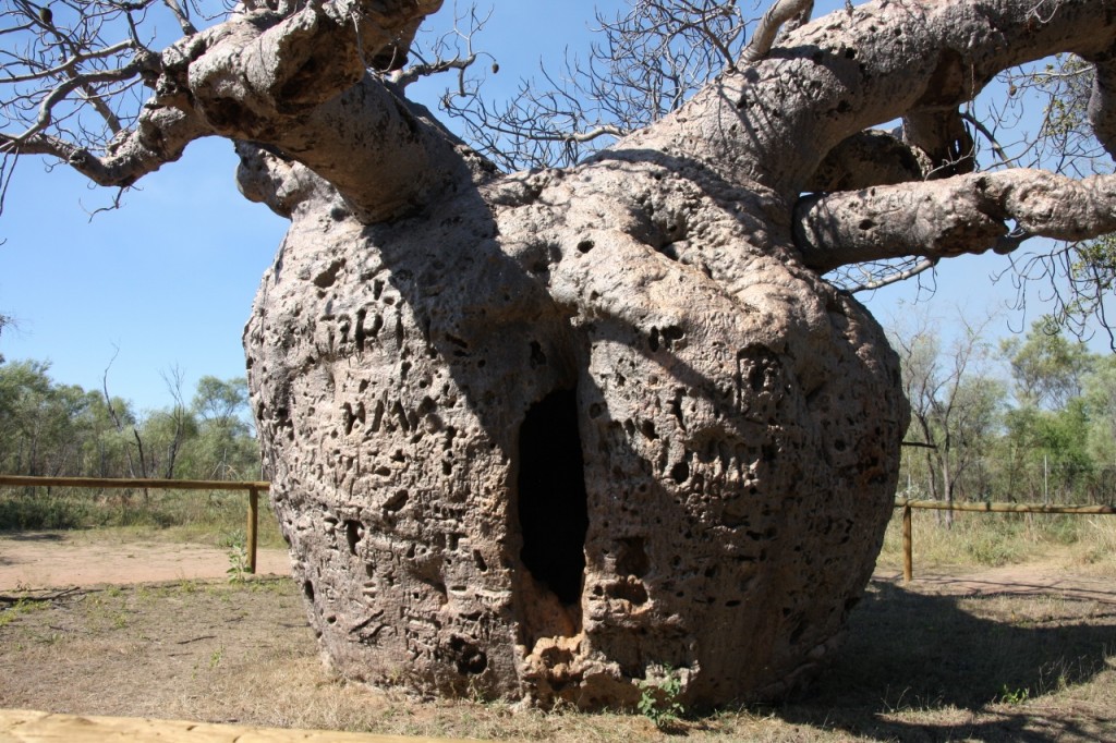 Prison Tree, Derby