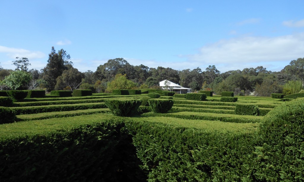 Margaret River Maze