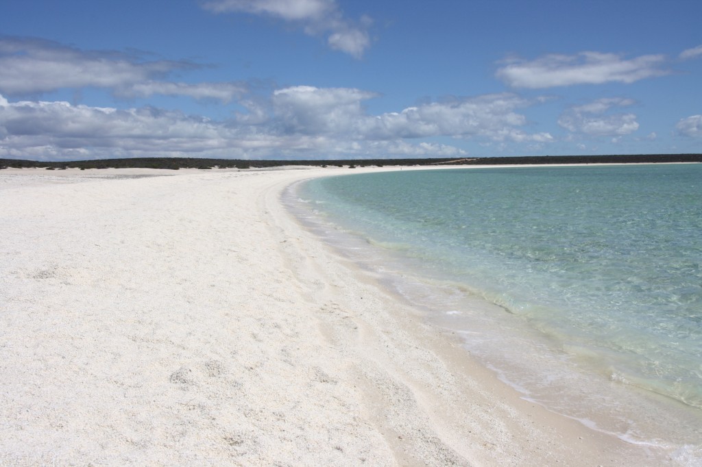 Shell Beach, Cape Peron