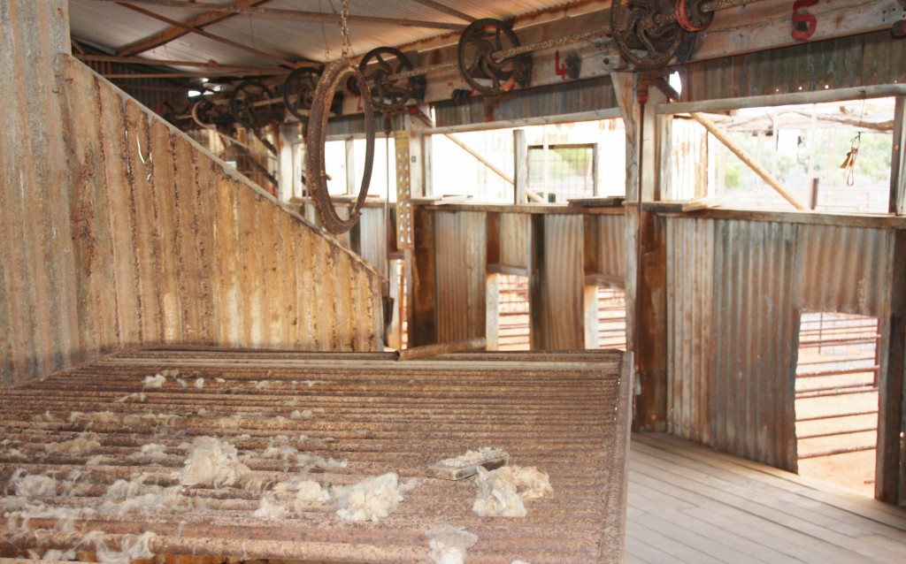 Peron HS Shearing Sheds