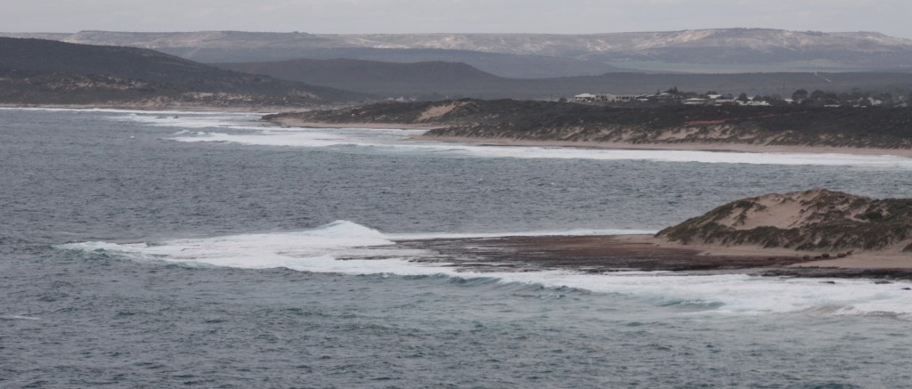 Kalbarrii township at the Murchison Rivermouth in the background, Jakes in the foreground