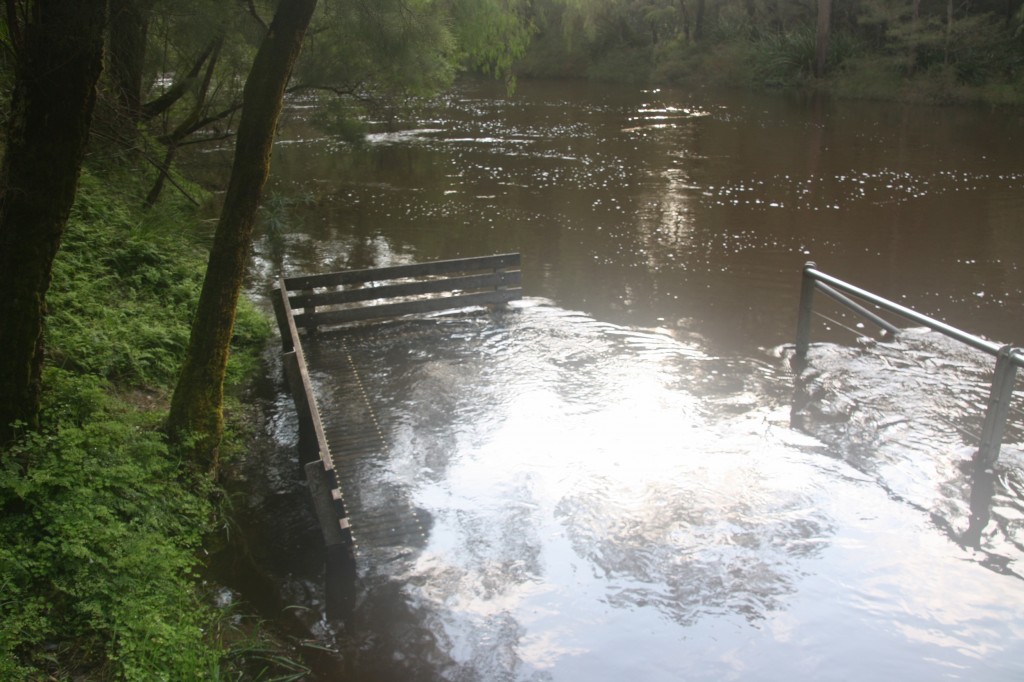 Warren River Camp near Pemberton