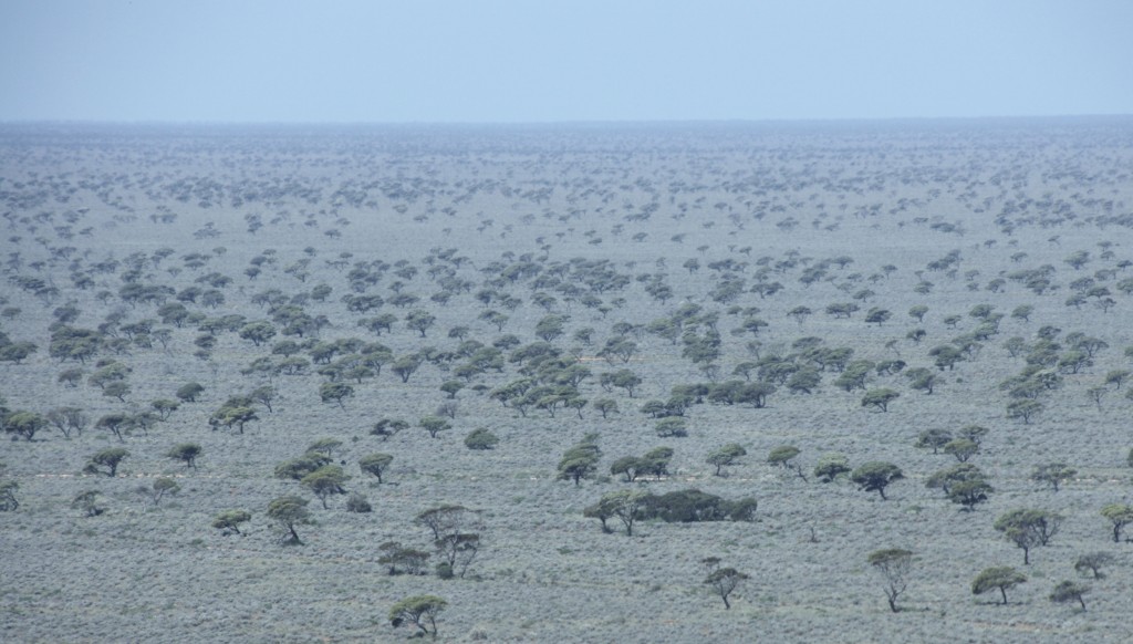 near Madura Pass