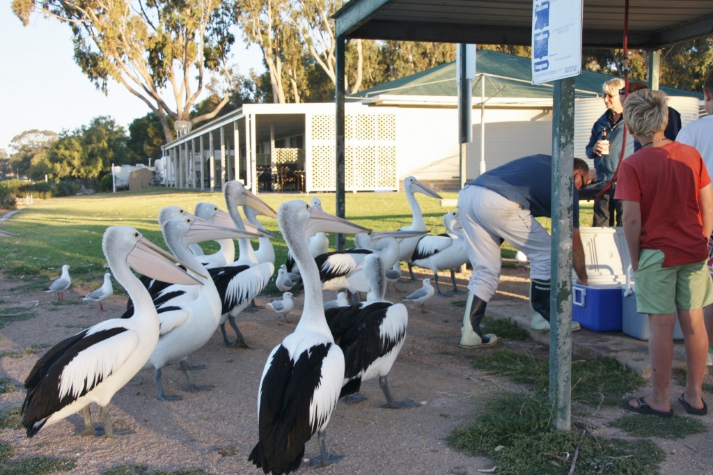 Streaky Bay