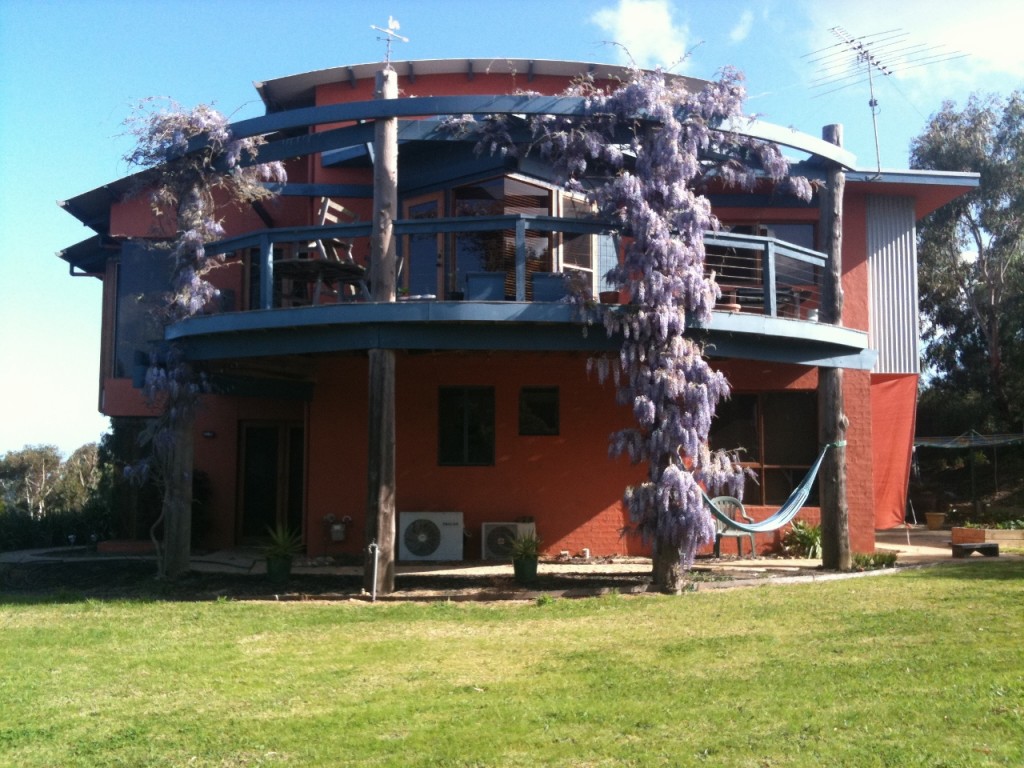 Wisteria wonders on the north side.