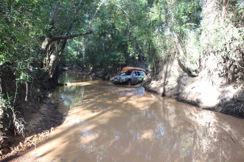 Entering Palm Creek