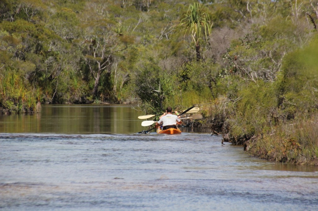 Eliot Creek