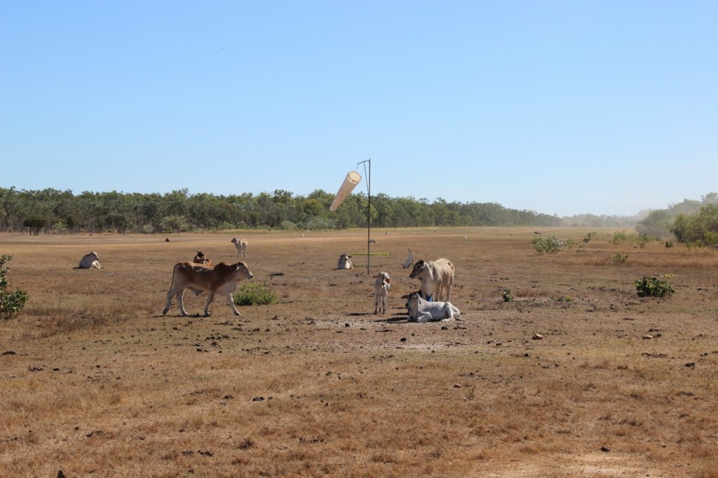 Musgrave Airstrip