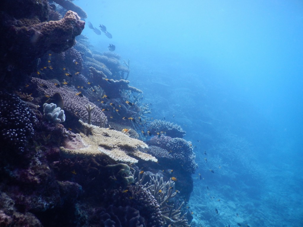 Great Barrier Reef